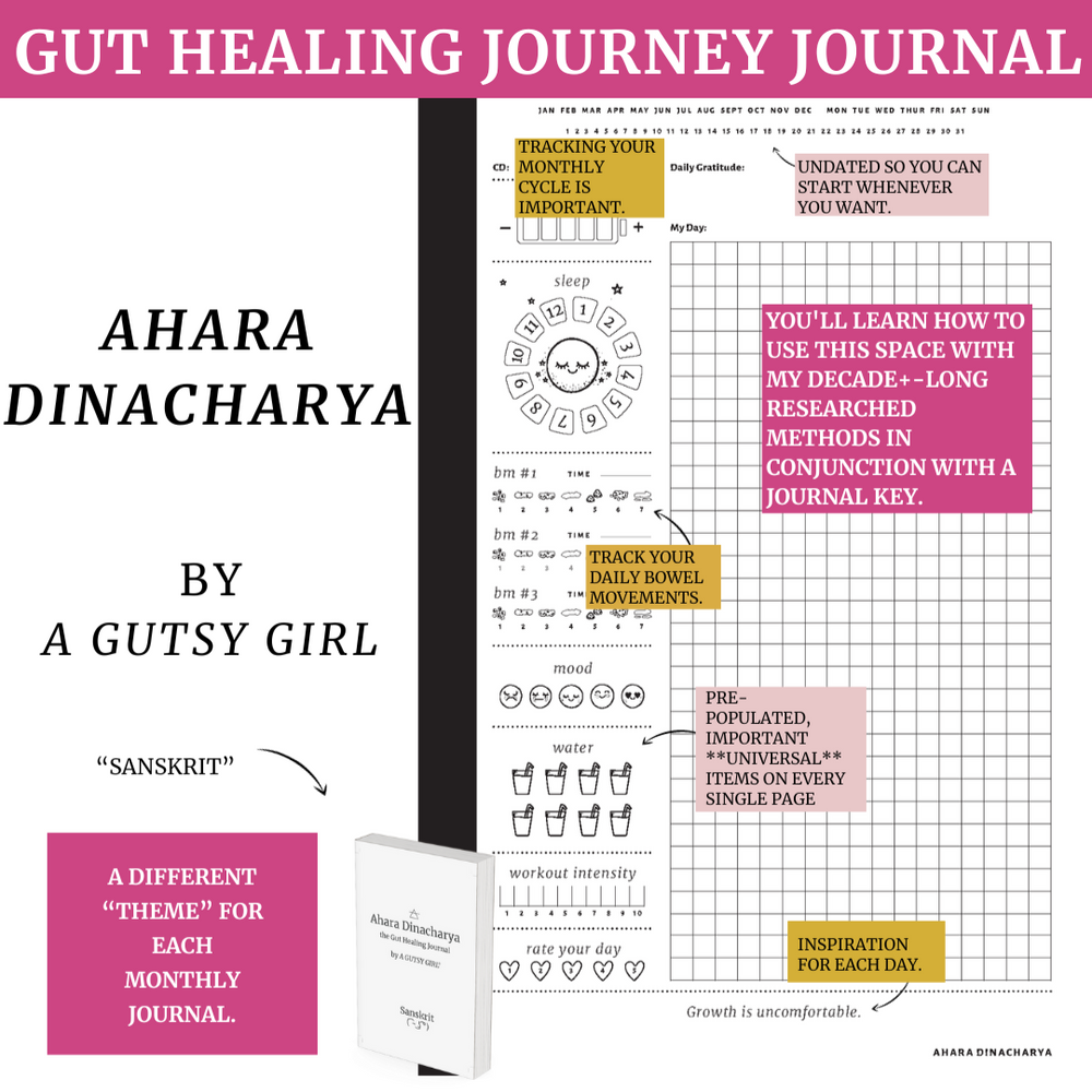 Ahara Dinacharya [softcover, 28-day journal]